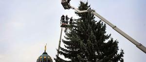 Frohes Fest am Gendarmenmarkt: Der erste Weihnachtsbaum steht.