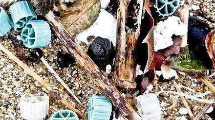 Treibgut. Solche Plastikrädchen finden sich an immer mehr Stränden. 