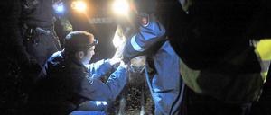 Retter begutachten das geborgene Pony.