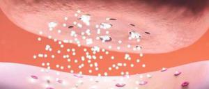 Schnelle Leitung. Zur Kommunikation zwischen Nervenzellen dienen Neurotransmitter (weiß). Sie werden in Vesikeln transportiert – und im richtigen Moment freigesetzt.