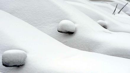 Schnee im Oktober. Die Meteorologen hatten Schnee am Alpenrand angekündigt. Dass es so heftig kommen würde, hatte kaum jemand erwartet. Die Natur ist noch nicht auf Winter eingestellt, viele Bäume brechen unter dem nassen Schnee - mit weitreichenden Folgen.