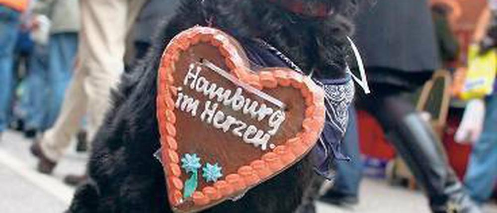 Moinmoin! Punktöle Björn Böhning fühlt sich in Hamburg wohl. Foto: dpa (Repro: Tsp)