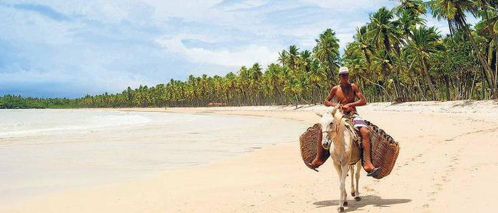 Strandurlaub? Da liegen Sie hier richtig, auf der Ilha de Boipeba vor der Atlantikküste Bahias. Doch es wäre schade, nur einen Faulenzerurlaub in Brasilien zu verbringen.