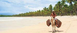 Strandurlaub? Da liegen Sie hier richtig, auf der Ilha de Boipeba vor der Atlantikküste Bahias. Doch es wäre schade, nur einen Faulenzerurlaub in Brasilien zu verbringen.