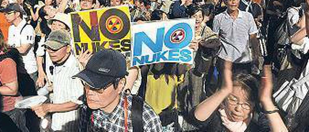 Atomkraftgegner demonstrieren in Tokio.