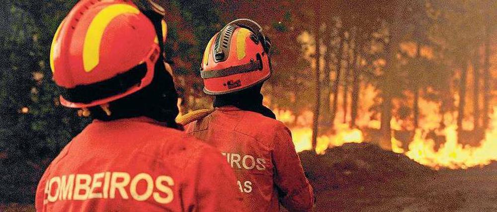 Kampf gegen die Flammen. Portugiesische Feuerwehrleute in Satao. Foto: dpa
