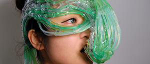 Algen werden schon länger als Lösung des Welt-Hungerproblems gehandelt.