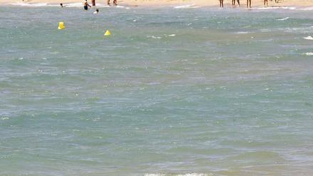 Ein Hai schwimmt vor dem Strand von Tarragona. Haie sind eigentlich für Schwimmer und Taucher nicht gefährlich. 