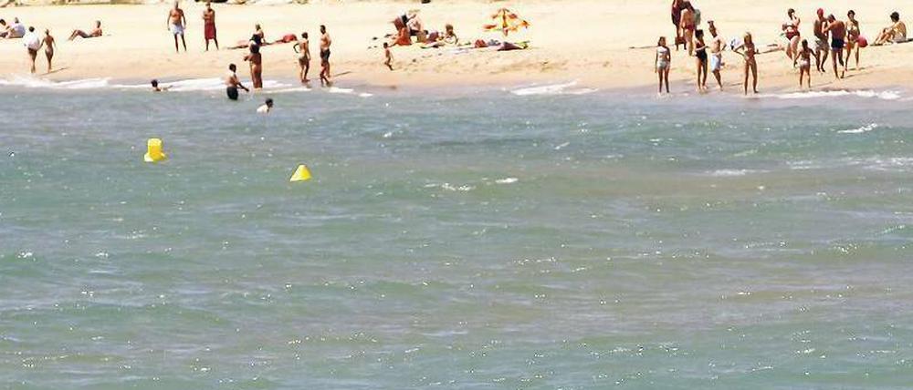 Ein Hai schwimmt vor dem Strand von Tarragona. Haie sind eigentlich für Schwimmer und Taucher nicht gefährlich. 