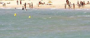 Ein Hai schwimmt vor dem Strand von Tarragona. Haie sind eigentlich für Schwimmer und Taucher nicht gefährlich. 