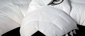 Noch ist Luft nach oben - bei den Eisbären.