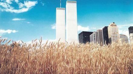 Agnes Denes „Wheatfield – A Confrontation: Battery Park Landfill, Downtown Manhattan“, 1982. 