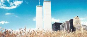 Agnes Denes „Wheatfield – A Confrontation: Battery Park Landfill, Downtown Manhattan“, 1982. 