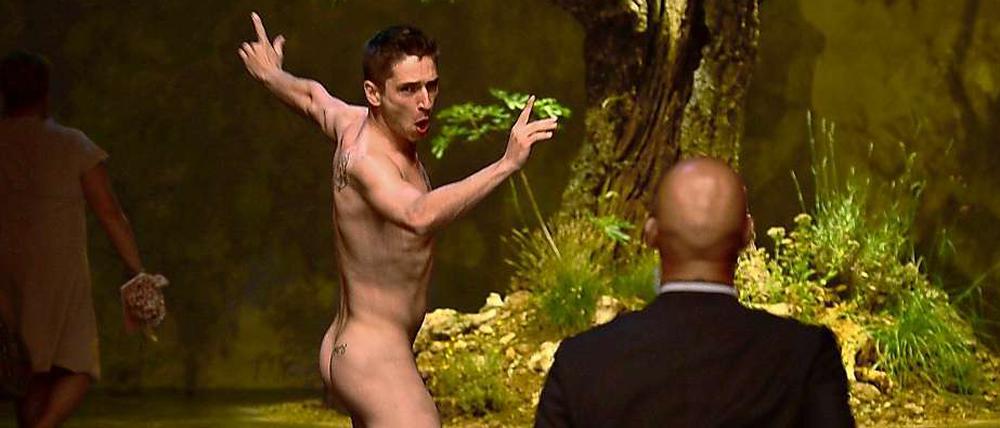 "Miky der Flitzer" auf der Show von Dolce & Gabbana