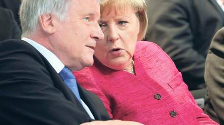 Im beiderseitigen Interesse. Bayerns Regierungschef Horst Seehofer will bei den Landtagswahlen im September vom Glanz der Bundeskanzlerin profitieren. CSU-Sticheleien gegen Angela Merkel dürften vor der Landtagwahl ausbleiben. Foto: Wolfgang Kumm/dpa