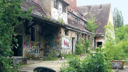 Das versehrte Krankenhaus: Die Kinderklinik in Weißensee war 1911 eröffnet und 1997 geschlossen worden. Der Eigentümer versprach eine Sanierung, doch das Areal verfällt immer mehr.
