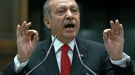 Kritiker sagen, dass Regierungschef Erdogan von Jasagern umgeben sei.
