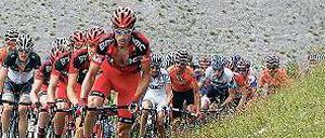 Das Peloton fährt einen Berg hinauf.