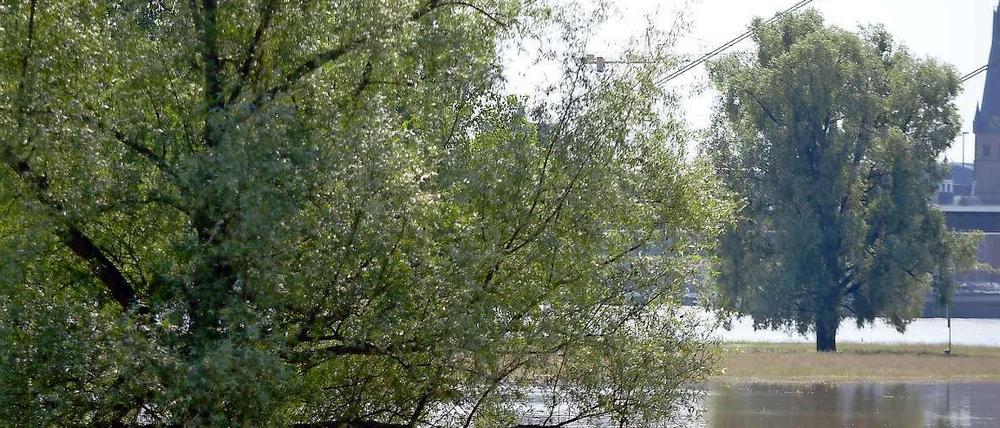 Die Flut beim Nachbarn, das Leid der Nachbarn? „Le Monde“ erwähnte es in einer kleinen Meldung, die anderen beiden Blätter erwähnten nichts.