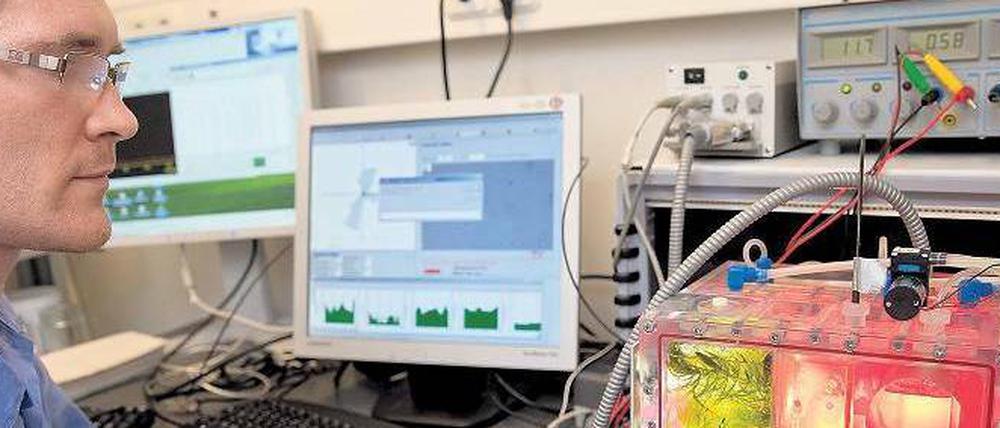 Teure Technik. Mit dem Aufwand für die technische Ausstattung eines Projekts steigen die Kosten. Das bringt Unis mit starken Natur- und Technikwissenschaften in Rankings ganz nach vorne. Im Bild ein Aquarium, das die Uni Erlangen-Nürnberg ins All schickte.