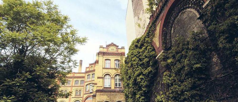Am Wochenende gibt's hier wieder Bier. Die Bötzow-Brauerei erwacht zu neuem Leben. Ab heute wird hier schon mal die Zukunft vorgefeiert.