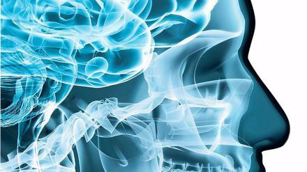 Der durchleuchtete Bürger - nach dem Willen der Koalition dürfen Daten aus Handyverträgen auch ohne Richtervorbehalt abgerufen werden.