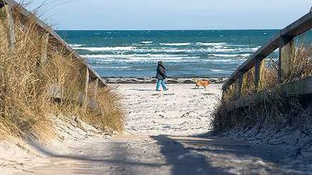 Winterspaziergang zu Ostern. Hier in Scharbeutz in Holstein. Foto: Axel Heimken/dpa