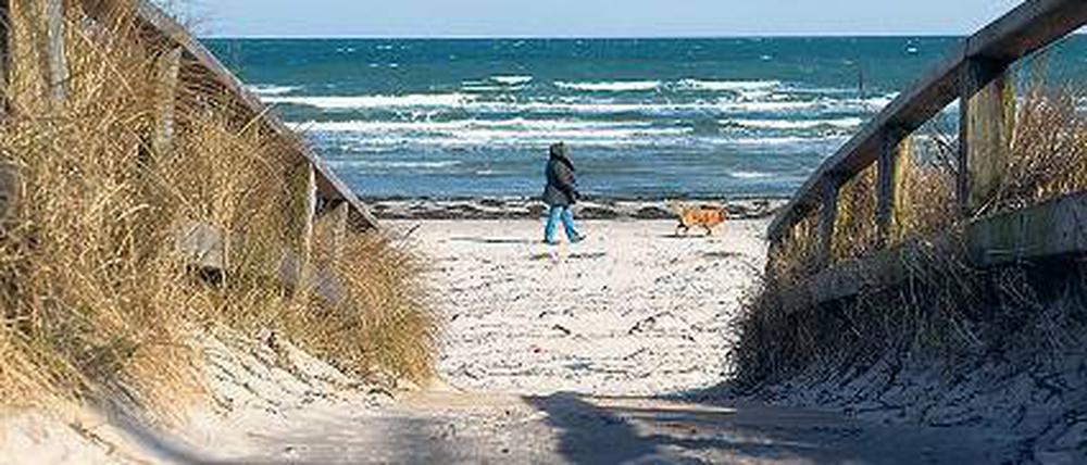 Winterspaziergang zu Ostern. Hier in Scharbeutz in Holstein. Foto: Axel Heimken/dpa