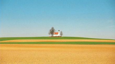 Stille Hallertau. Blick über die Felder zur Kapelle von Leitenhausen.