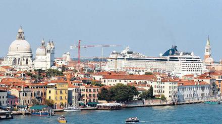Wer ist der Größte und Schönste im ganzen Land? Die MSC Musica fährt in Venedig ein. Foto: Stefano Rellandini / Reuters