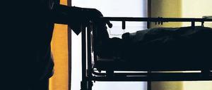 Gut versorgt. Schwangere Migrantinnen nutzen Vorsorgemöglichkeiten.