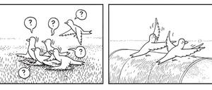 Gefiederte Gefährten: Eine der vielen wortlosen Szenen des Buches.