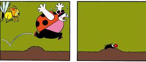 Ohne Worte: Eine Seite aus „Kleiner Strubbel“.