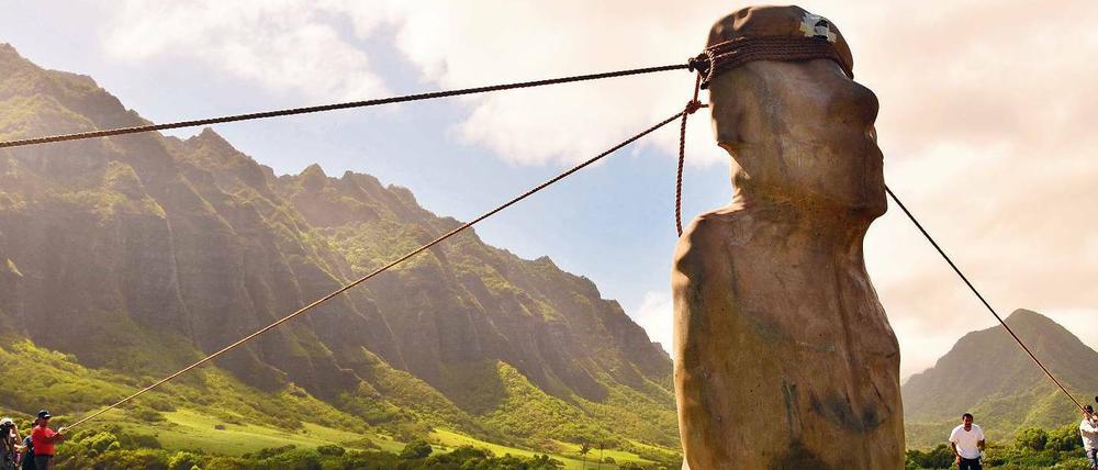 Wankender Gigant. 18 Personen und drei Seile lenken eine tonnenschwere Nachbildung einer Maoi-Skulptur über einen Weg auf Hawaii.