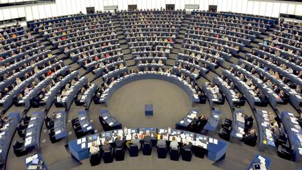 Die EU-Parlamentarier haben über den Finanzrahmen bis 2020 abgestimmt. 