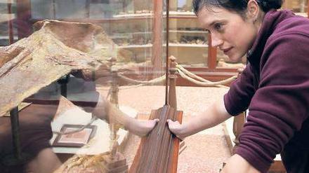 Zeuge der Evolution. Die Berliner Paläontologin Julia Fahlke betrachtet ein 15 Millionen Jahre altes Walskelett in Bologna.