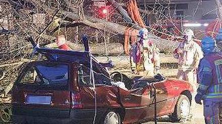 Wie ein Wunder. Nur leicht verletzt wurden zwei Frauen, auf deren Auto dieser Baum stürzte. Die 49-jährige Fahrerin, die nicht namentlich genannt werden will, muss den Schaden wohl selbst tragen. Foto: dpa
