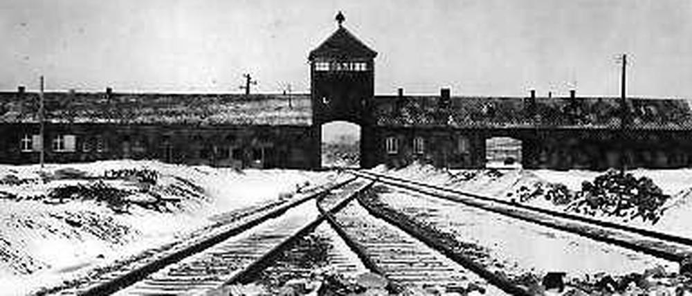 Auschwitz ist eines der bekanntesten Konzentrationslager. Insgesamt soll es aber viel mehr Lager gegeben haben, als bisher bekannt.