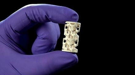 Prototyp. Diese poröse Struktur haben die Forscher mit einem 3D-Drucker hergestellt. 