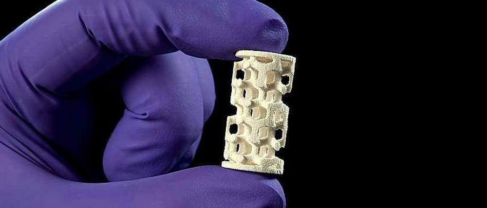 Prototyp. Diese poröse Struktur haben die Forscher mit einem 3D-Drucker hergestellt.