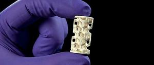 Prototyp. Diese poröse Struktur haben die Forscher mit einem 3D-Drucker hergestellt. 
