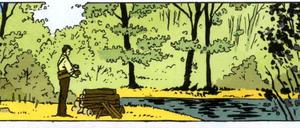 Merkwürdig fremd: Thoreau beim Erkunden seiner Umgebung.