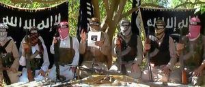 Etwa 100 der europäischen Islamisten stammten aus Großbritannien. Aus Deutschland seien seit Beginn dieses Jahres mindestens ein halbes Dutzend Salafisten nach Syrien gelangt.