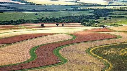 Wie gemalt. Auf der argentinischen Laguna Blanca Farm ist kein Feld größer als vier Hektar, die Traktorfahrer sind Künstler. Foto: D. Tomkins