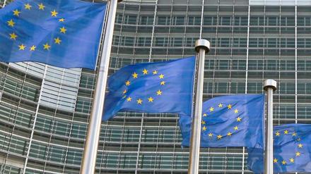 Wie groß ist der Einfluss von Lobbyisten auf Entscheidungen in Brüssel? Die Seite Lobbyplag.eu will es erkunden.