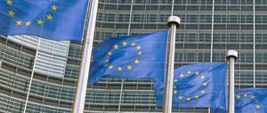 Wie groß ist der Einfluss von Lobbyisten auf Entscheidungen in Brüssel? Die Seite Lobbyplag.eu will es erkunden.