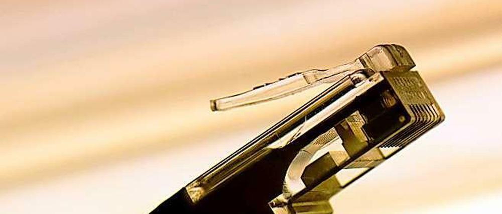 Open-Data-Aktivisten kritisieren die Lizenspolitik der Bundesregierung bei der Freigabe der Daten.