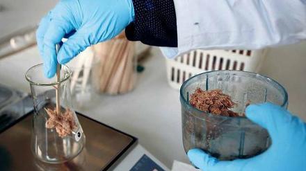 Getestet: In einem Labor in Nordrhein-Westfalen wurde am Mittwoch Hackfleisch darauf überprüft, ob es anders als angegeben Pferdefleisch enthält.. Sechs große deutsche Lebensmittelketten könnten Produkte mit Pferdefleisch bezogen haben. Foto: Ina Fassbender/Reuters