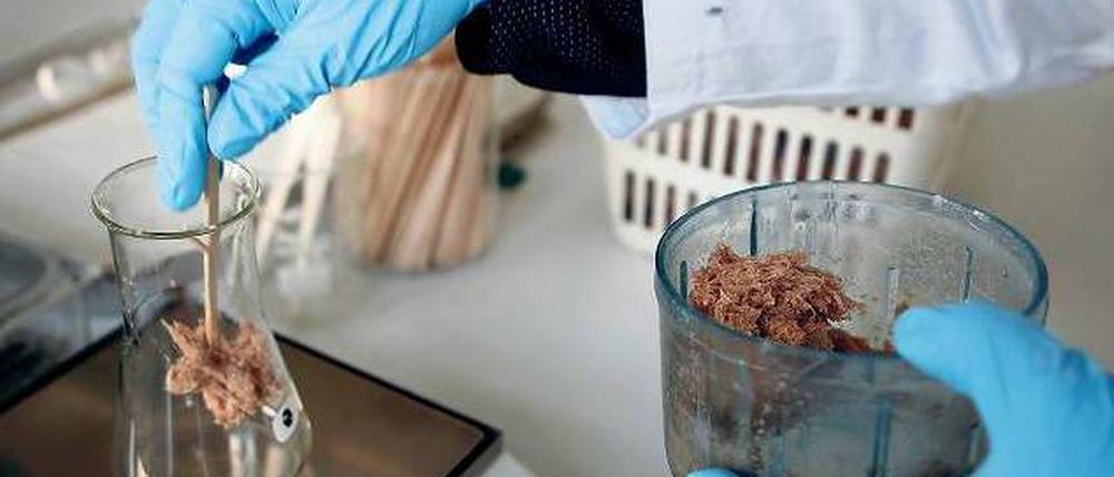 Getestet: In einem Labor in Nordrhein-Westfalen wurde am Mittwoch Hackfleisch darauf überprüft, ob es anders als angegeben Pferdefleisch enthält.. Sechs große deutsche Lebensmittelketten könnten Produkte mit Pferdefleisch bezogen haben. Foto: Ina Fassbender/Reuters