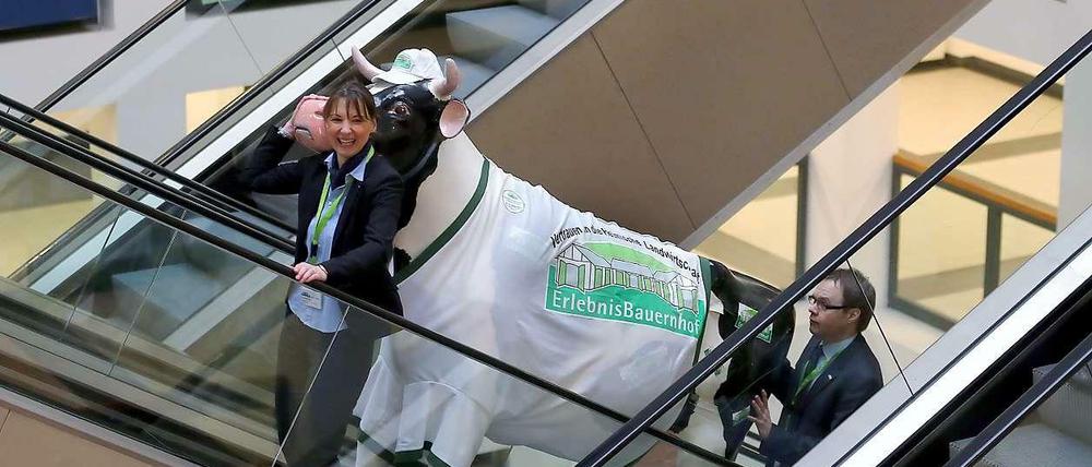 Messe-Finale. Das Foto stammt von der Rolltreppe einer Messehalle. Aber auch Kaufhäuser, Center und andere Läden profitieren von der Grünen Woche. 